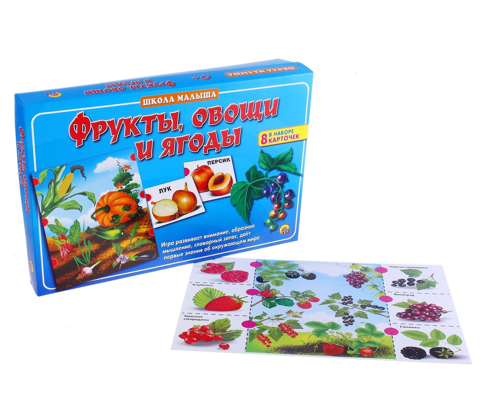 Настольная развивающая игра - Школа малыша. Фрукты, овощи и ягоды  